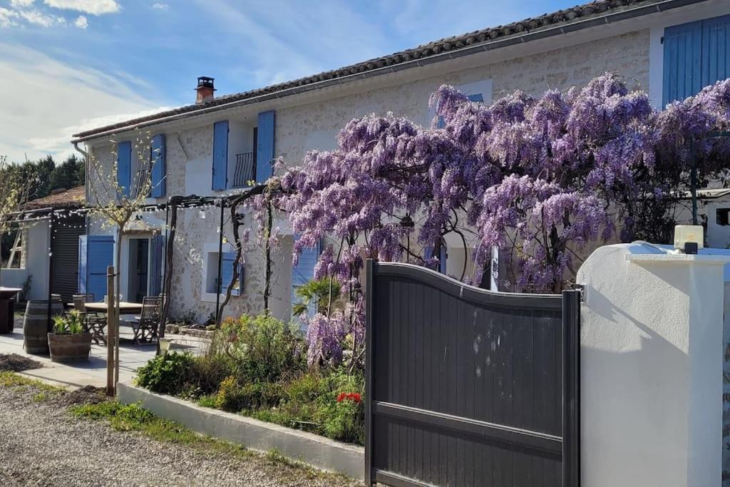 Location Appartement Dans Mas Provencal Monteux Zewnętrze zdjęcie
