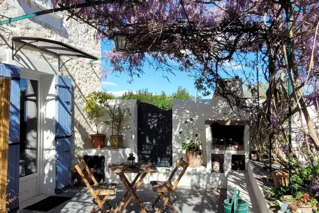 Location Appartement Dans Mas Provencal Monteux Zewnętrze zdjęcie