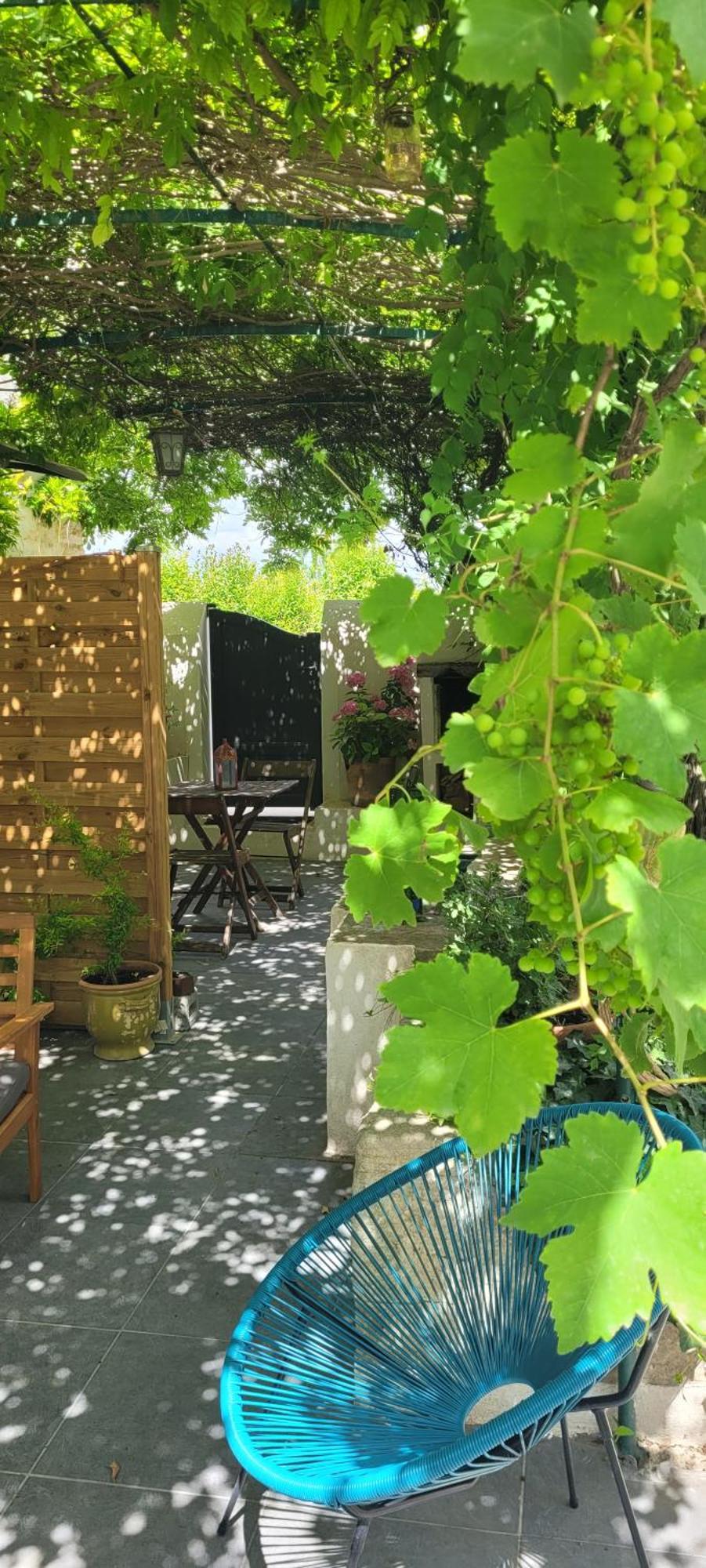 Location Appartement Dans Mas Provencal Monteux Zewnętrze zdjęcie